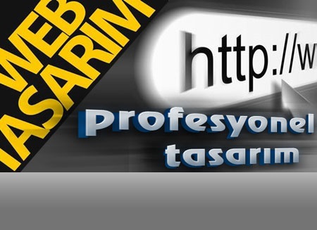 Profesyonel Web Tasarım 